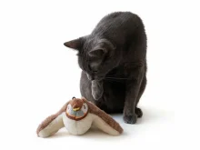 Іграшка для котів — автоматичний літаючий пташка з USB-зарядкою